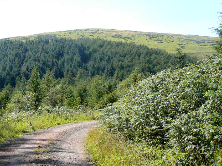 Ponsonby Fell Ponsonby Fell
